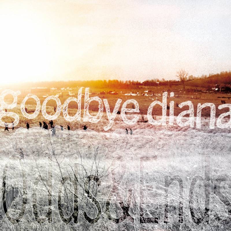 chronique Goodbye Diana - Odds'n Ends