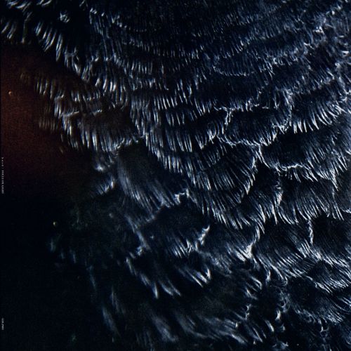 chronique : H ø R D - Focus on light chronique H ø R D - Focus on light