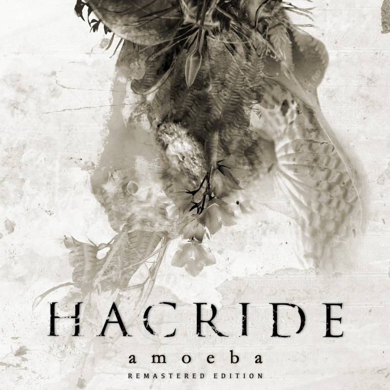 chronique : Hacride - Amoeba chronique Hacride - Amoeba