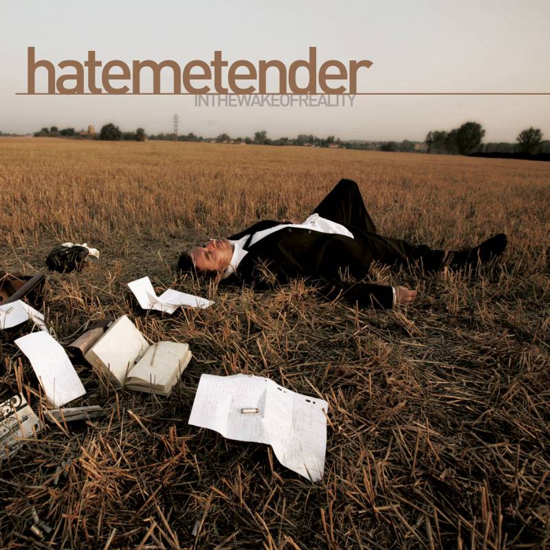 chronique Hate me tender - In The Wake of Reality