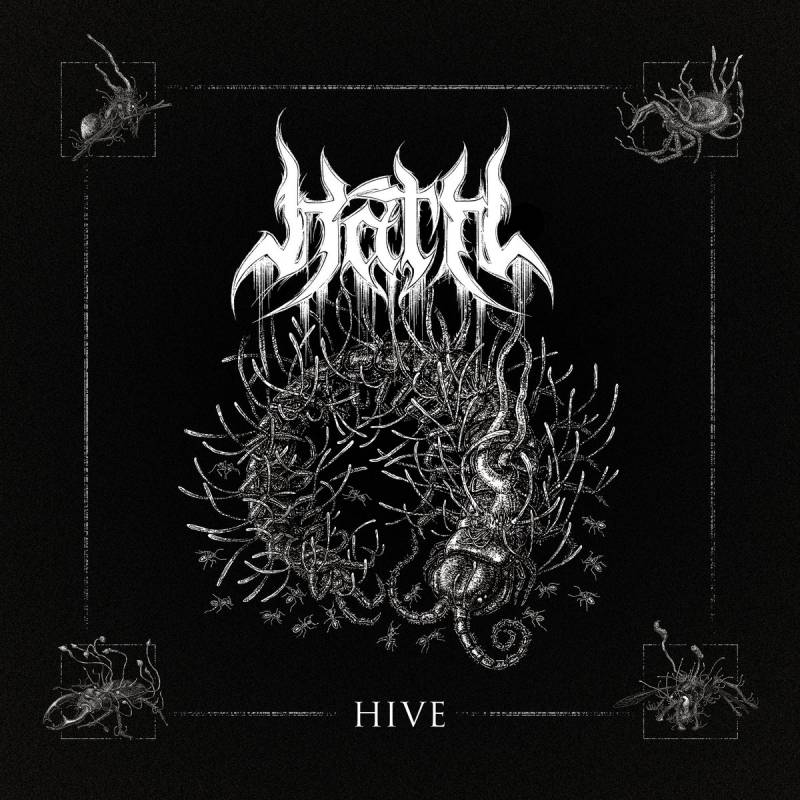 chronique : Hath - Hive (EP reissue) chronique Hath - Hive (EP reissue)