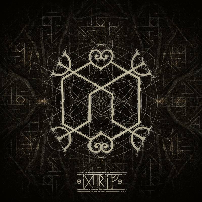 chronique : Heilung - Drift chronique Heilung - Drift