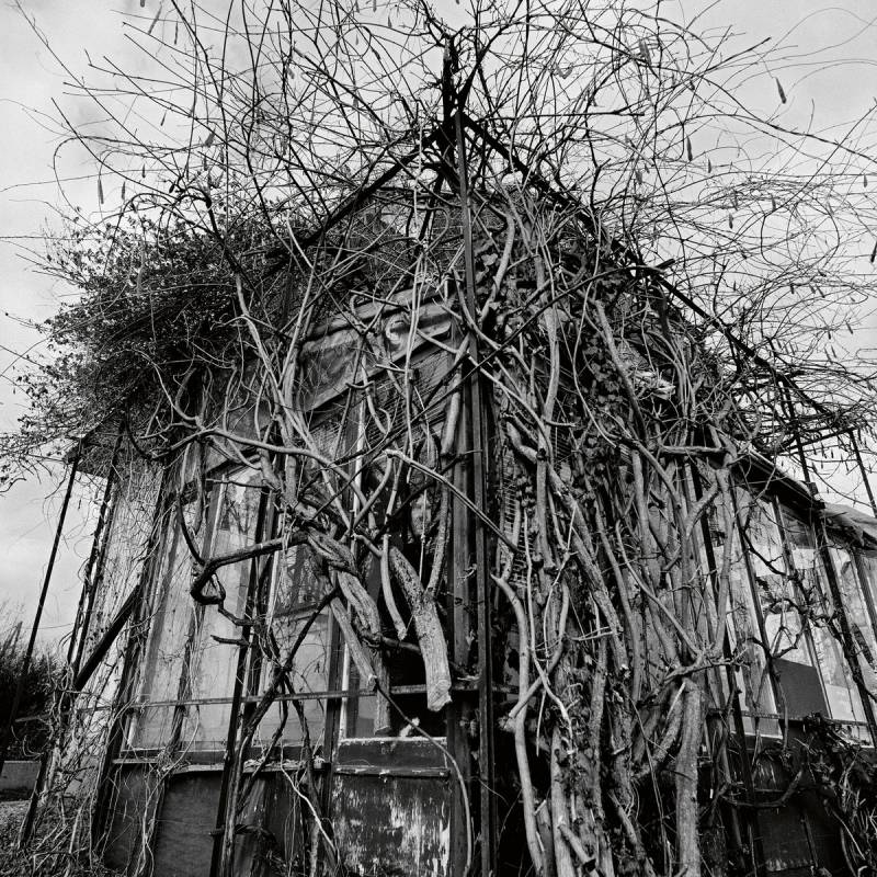 chronique : Impure Wilhelmina - Dead Decades chronique Impure Wilhelmina - Dead Decades