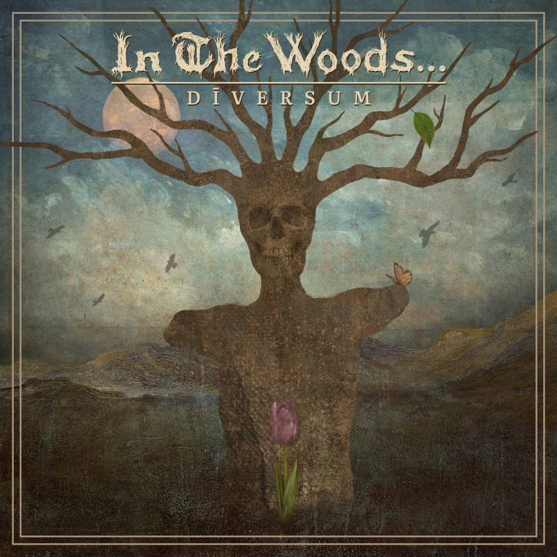 chronique : In The Woods... - Diversum chronique In The Woods... - Diversum