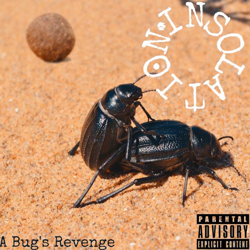 chronique Insolation - A Bug's Revenge