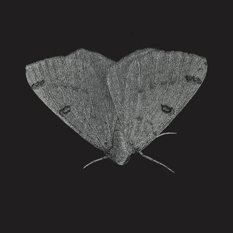 chronique : Jeanne - EP chronique Jeanne - EP