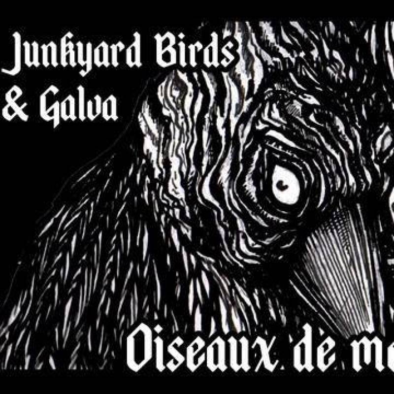 chronique Junkyards Birds + Galva - Oiseaux de Mauvaise Augure