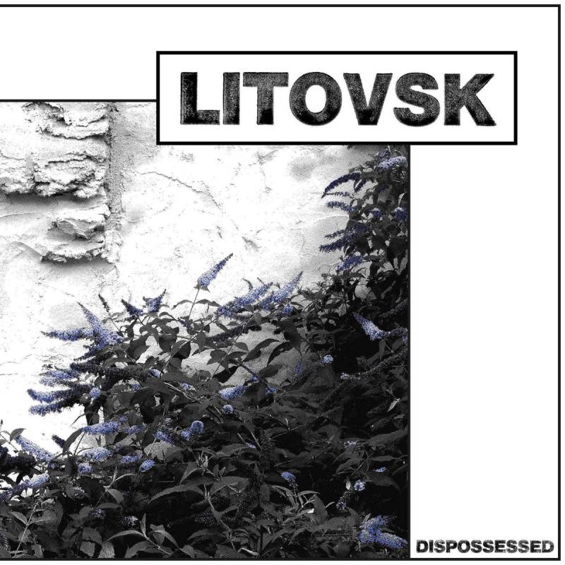chronique Litovsk - Dispossessed
