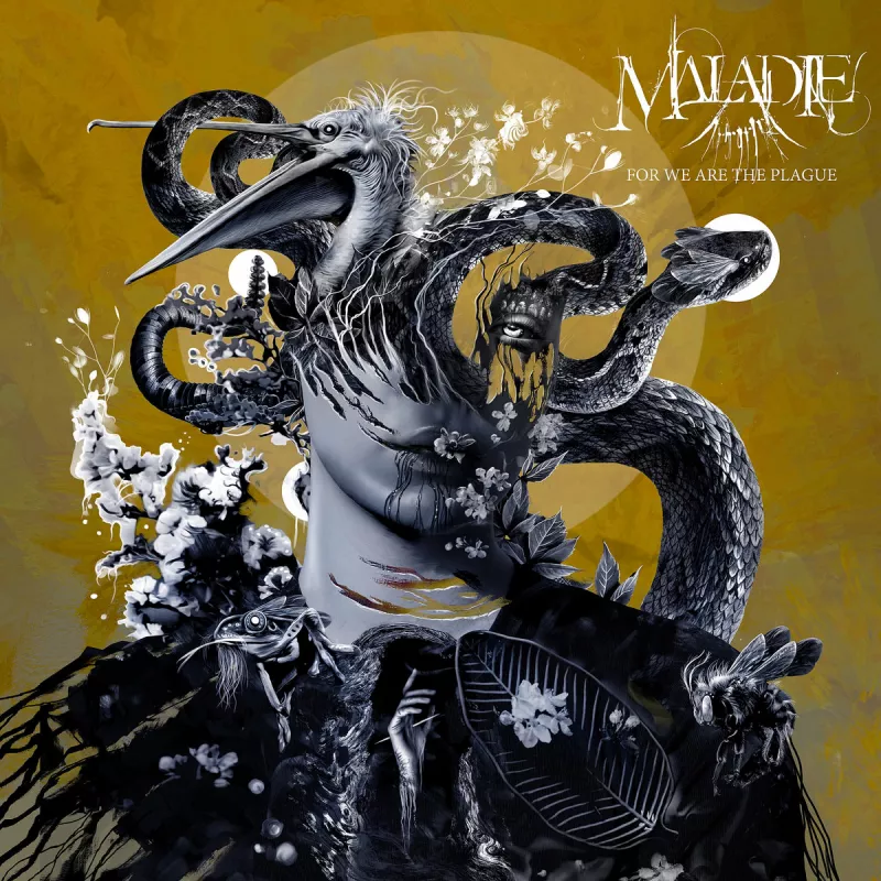 chronique Maladie - For We Are The Plague