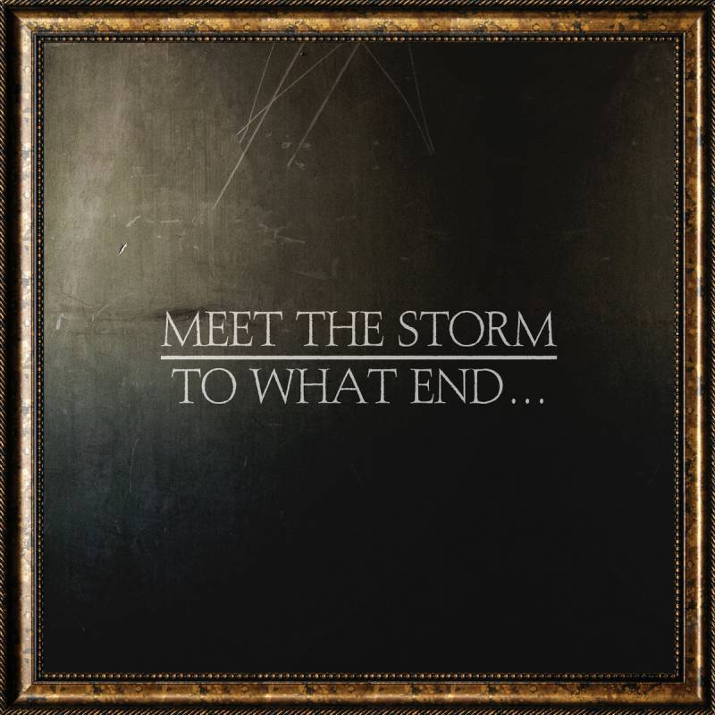 chronique Meet The Storm - To What End...