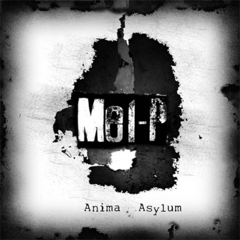 chronique Mel-P - Anima Asylum