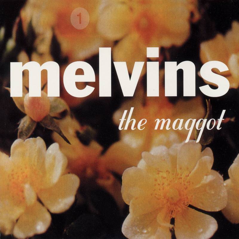 chronique Melvins - The Maggot