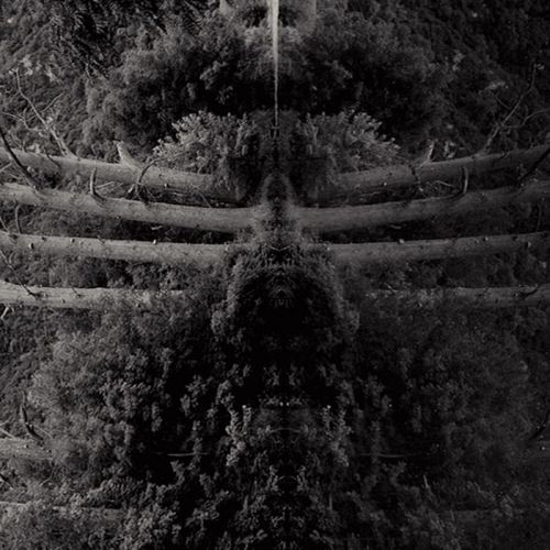chronique : Membrane - Reflect your pain chronique Membrane - Reflect your pain