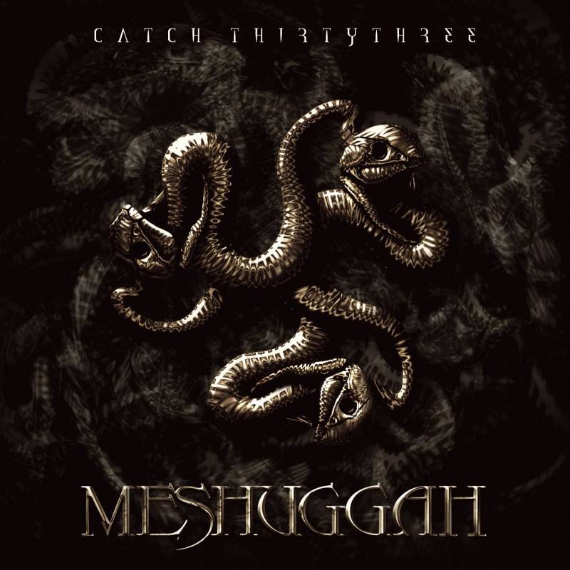 chronique Meshuggah - Catch 33