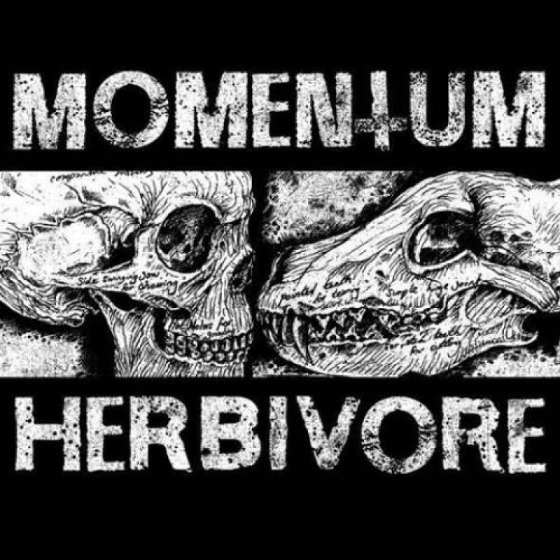 chronique : Momentum - Herbivore chronique Momentum - Herbivore