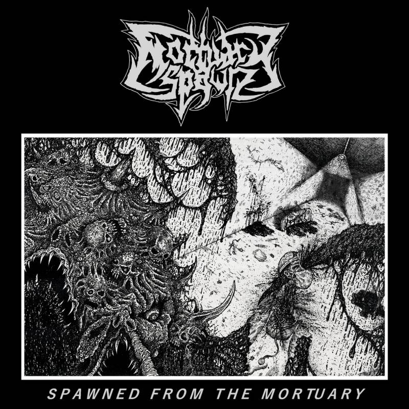 chronique Mortuary Spawn - Spawned From The Mortuary 