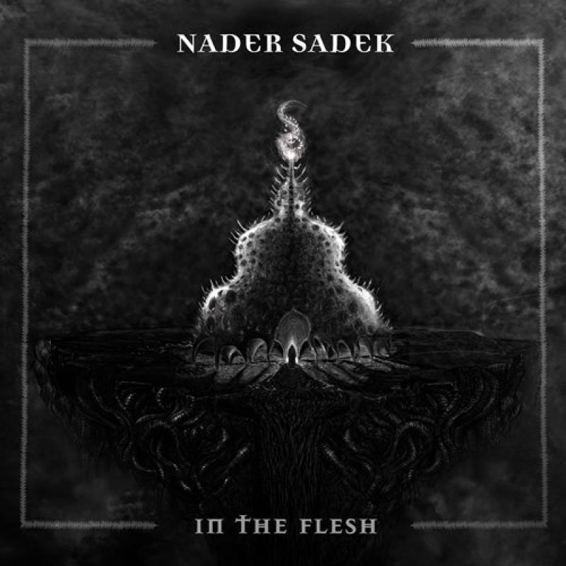 chronique Nader Sadek - In the Flesh