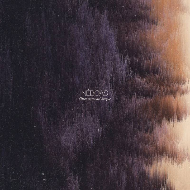 chronique Néboas - Otros Claros del Bosque