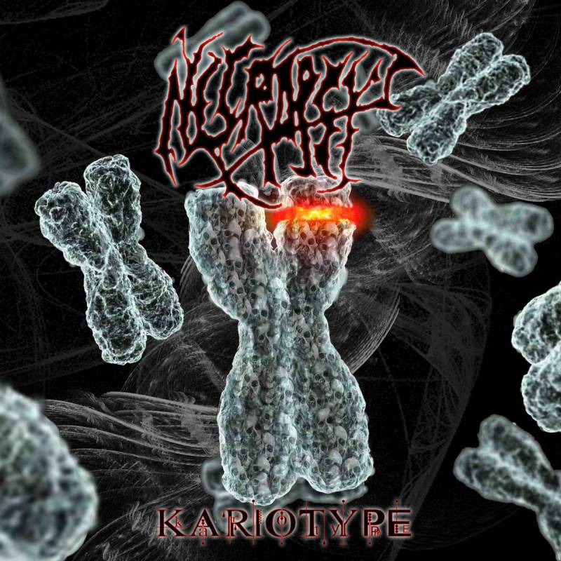 chronique : Necropsy - Kariotype chronique Necropsy - Kariotype