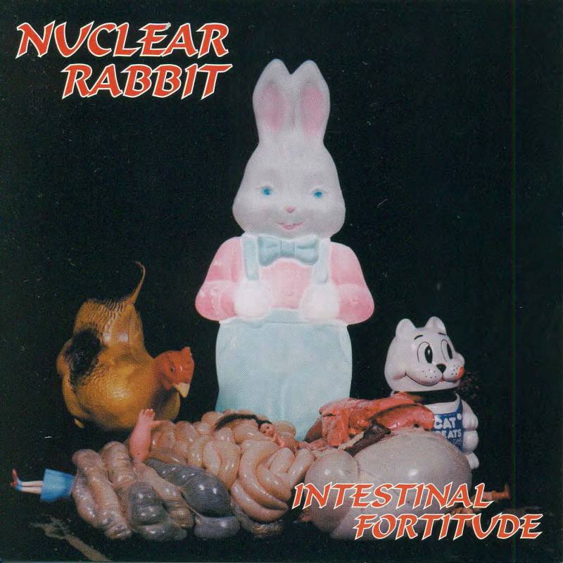 chronique : Nuclear Rabbit - Intestinal Fortitude chronique Nuclear Rabbit - Intestinal Fortitude