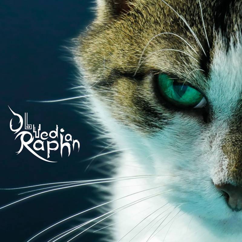 chronique : Obuedian Raph - Pahilcé Koot chronique Obuedian Raph - Pahilcé Koot