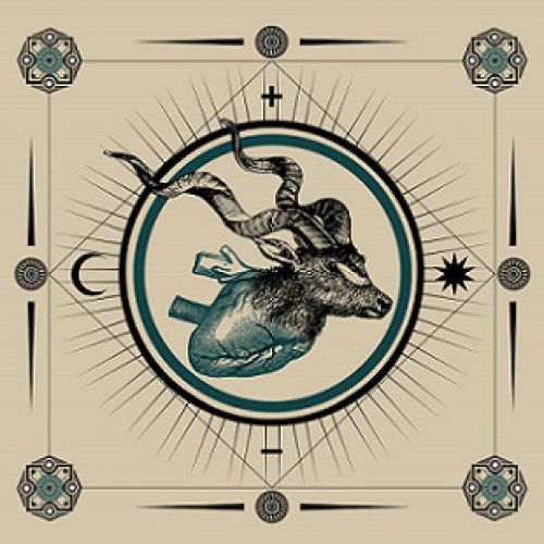chronique : Ohhms - Cold chronique Ohhms - Cold