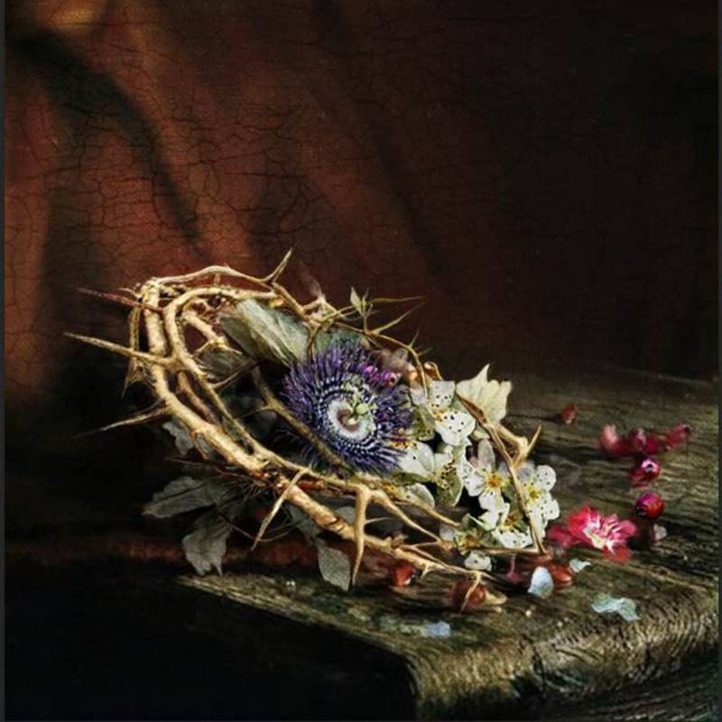 chronique : Pénitence Onirique - Nature morte chronique Pénitence Onirique - Nature morte