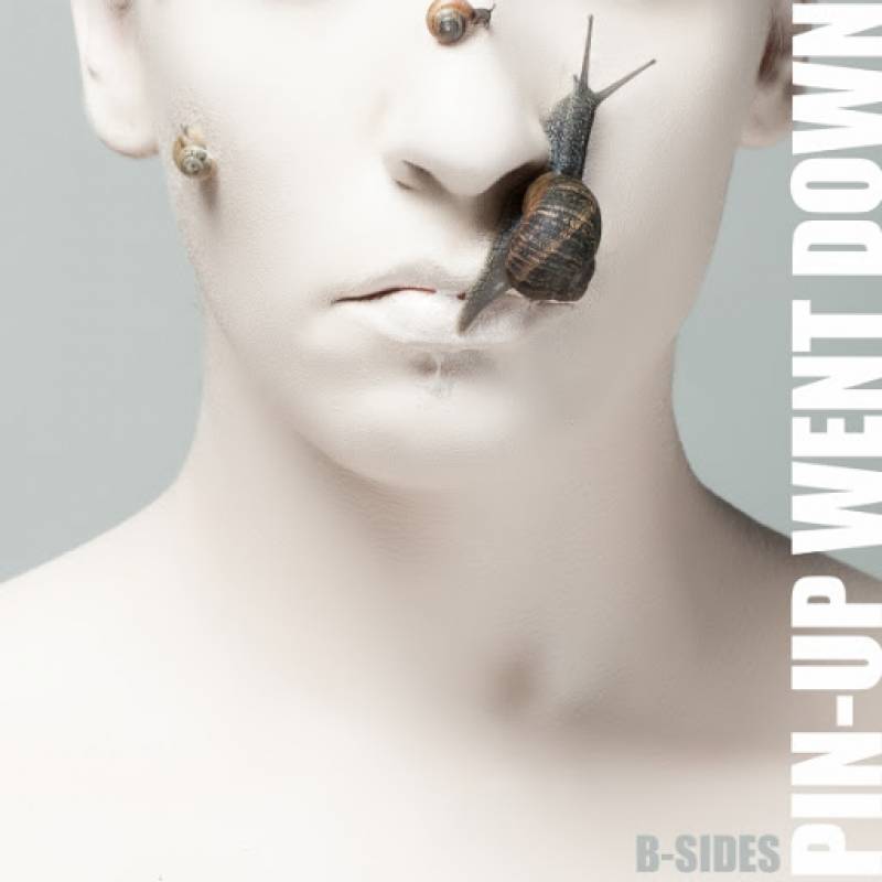 chronique : Pin-Up Went Down - B-Sides chronique Pin-Up Went Down - B-Sides