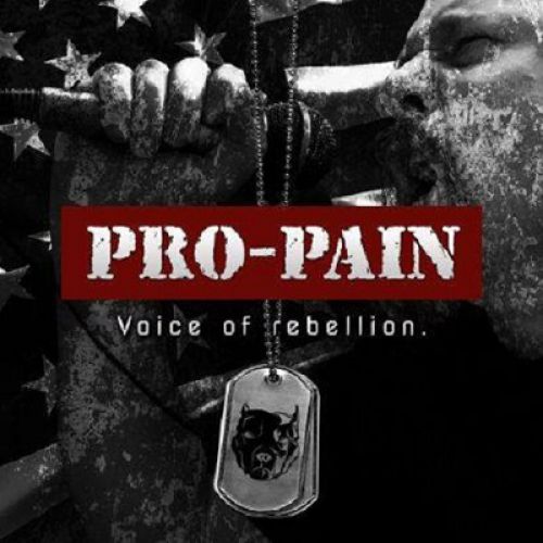 chronique Pro-pain - Voice Of Rebellion