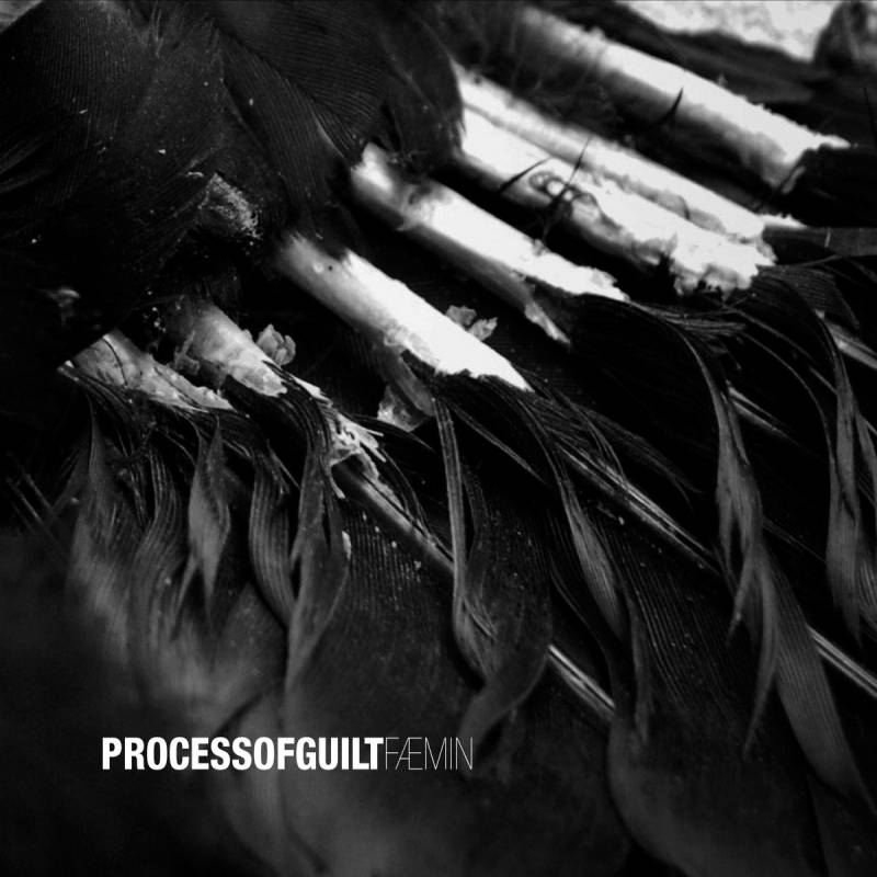 chronique Process Of Guilt - FÆMIN