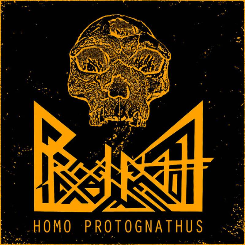 chronique Prognathe - Homo Protognathus