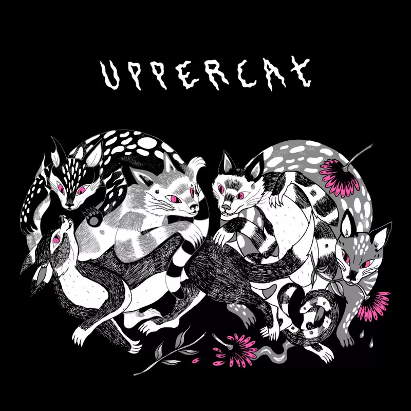 chronique : Radical Kitten - Uppercat chronique Radical Kitten - Uppercat