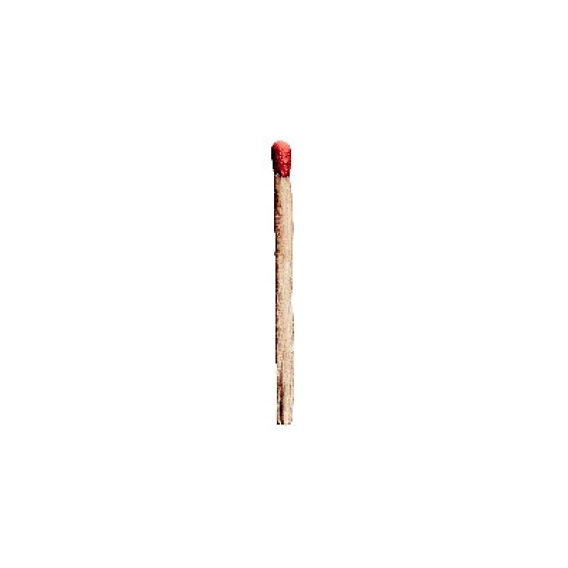 chronique Rammstein - S/t