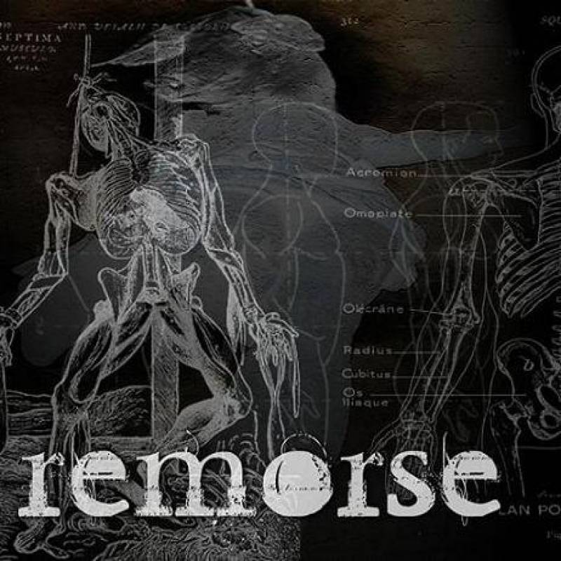 chronique : Remorse - Zero chronique Remorse - Zero
