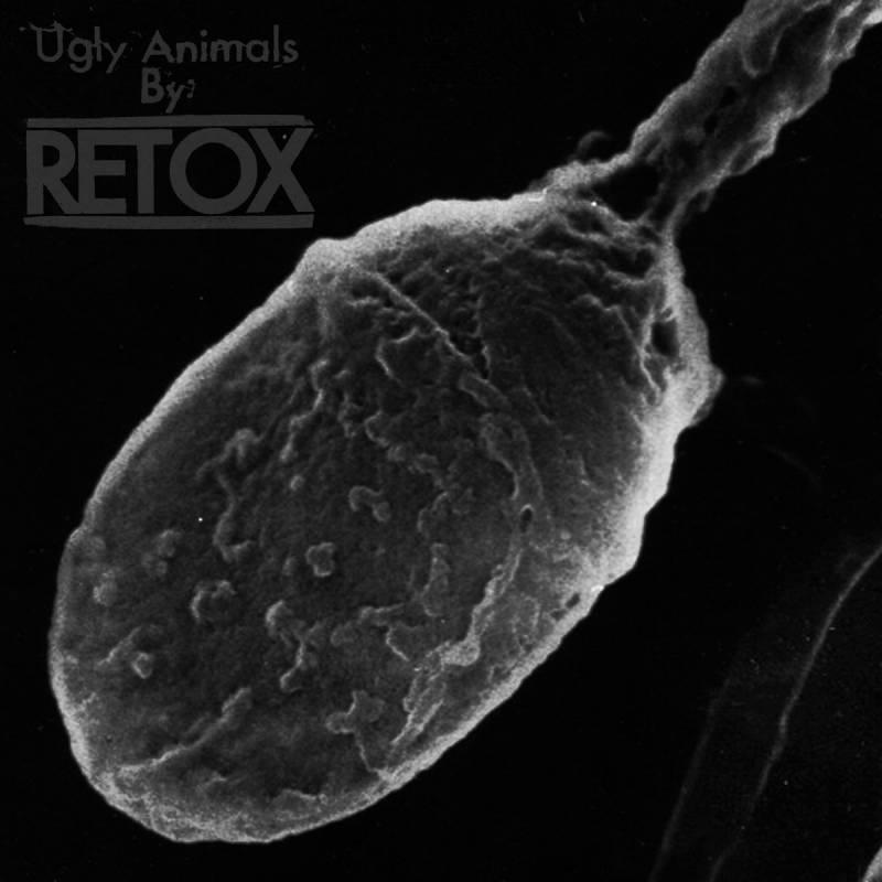 chronique Retox - Ugly Animals
