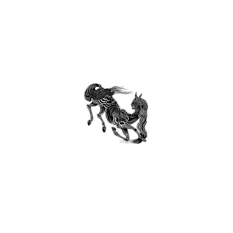 chronique Rorcal - Muladona