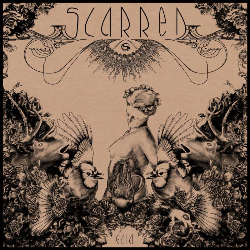 chronique : Scarred - Gaia Medea chronique Scarred - Gaia Medea