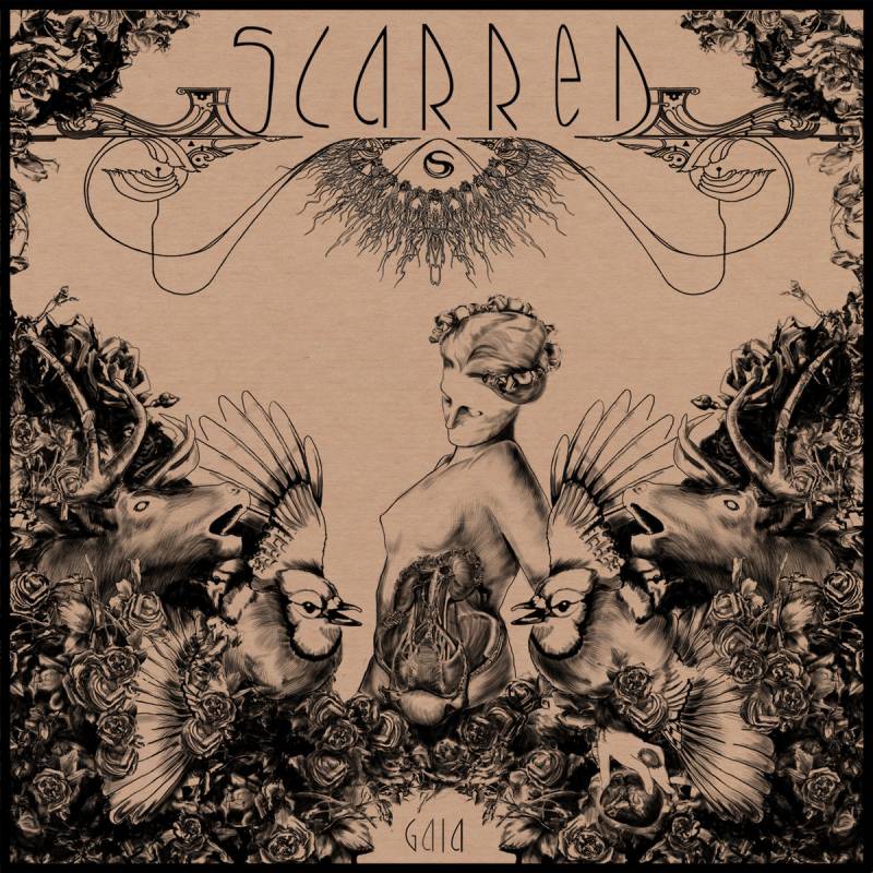 chronique Scarred - Gaia Medea