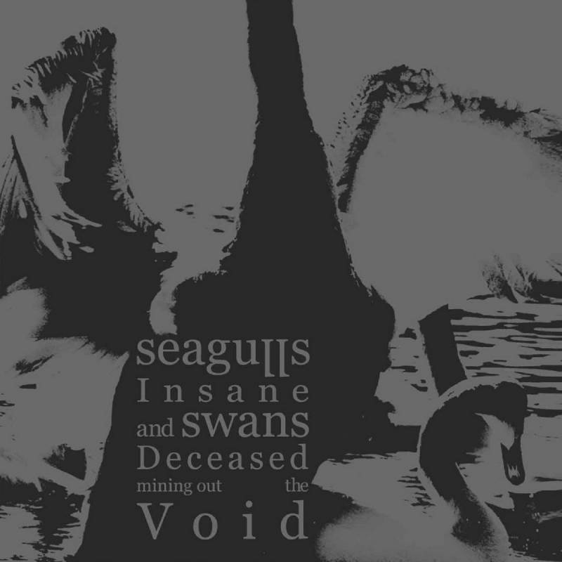 chronique Seagulls Insane And Swans Deceased Mining Out The Void - Seagulls Insane And Swans Deceased Mining Out The Void