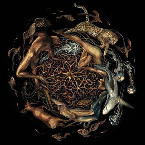 chronique Selcouth - Heart is the Star of Chaos