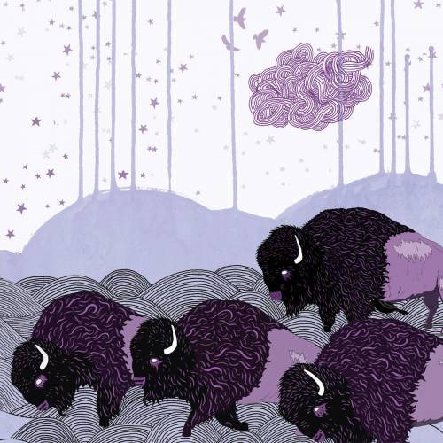 chronique *shels - Plains Of The Purple Buffalo