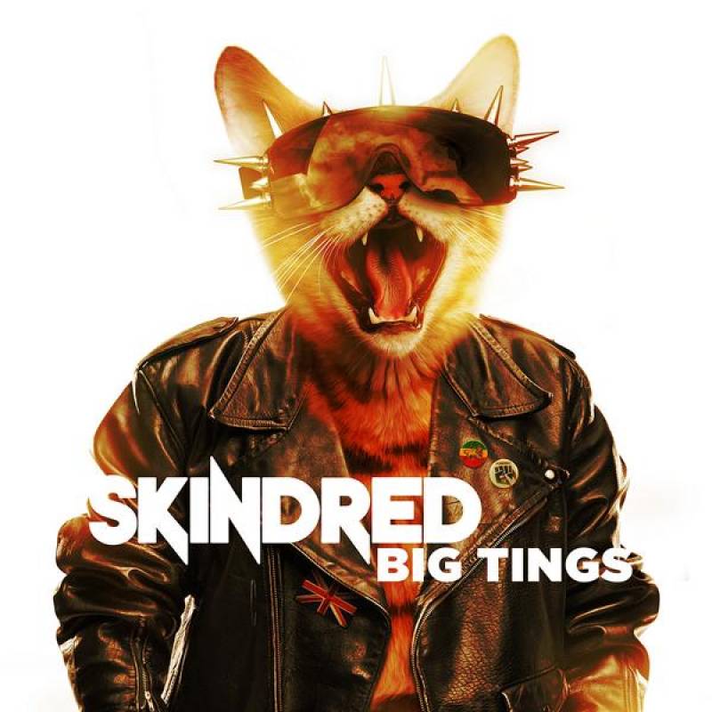 chronique Skindred - Big Tings