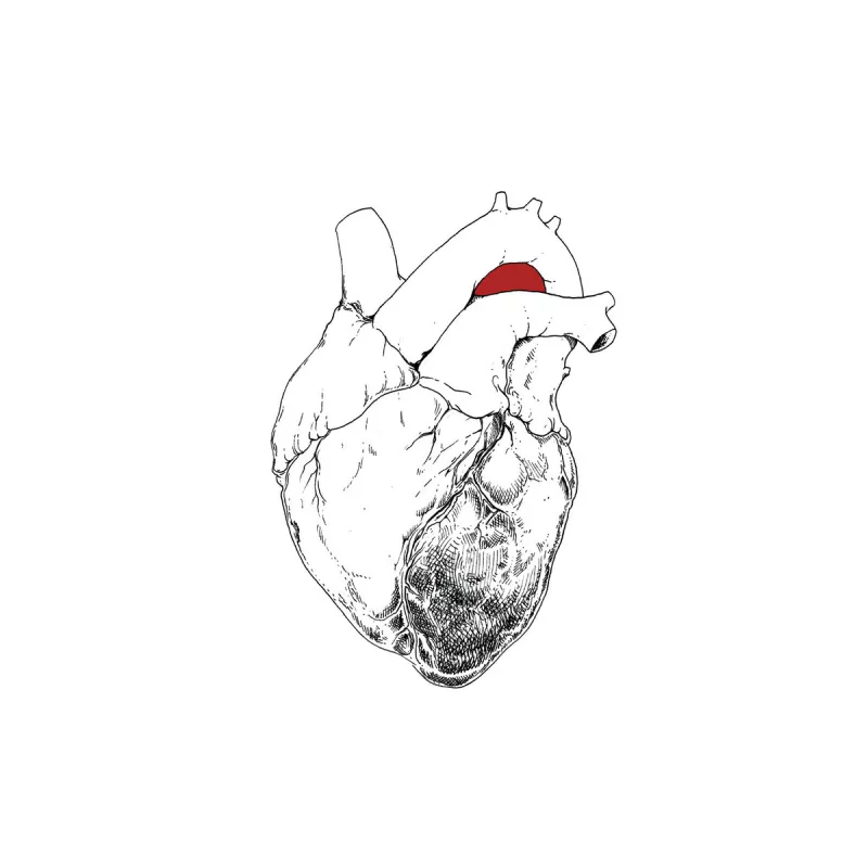 chronique : Swans - The Beggar chronique Swans - The Beggar