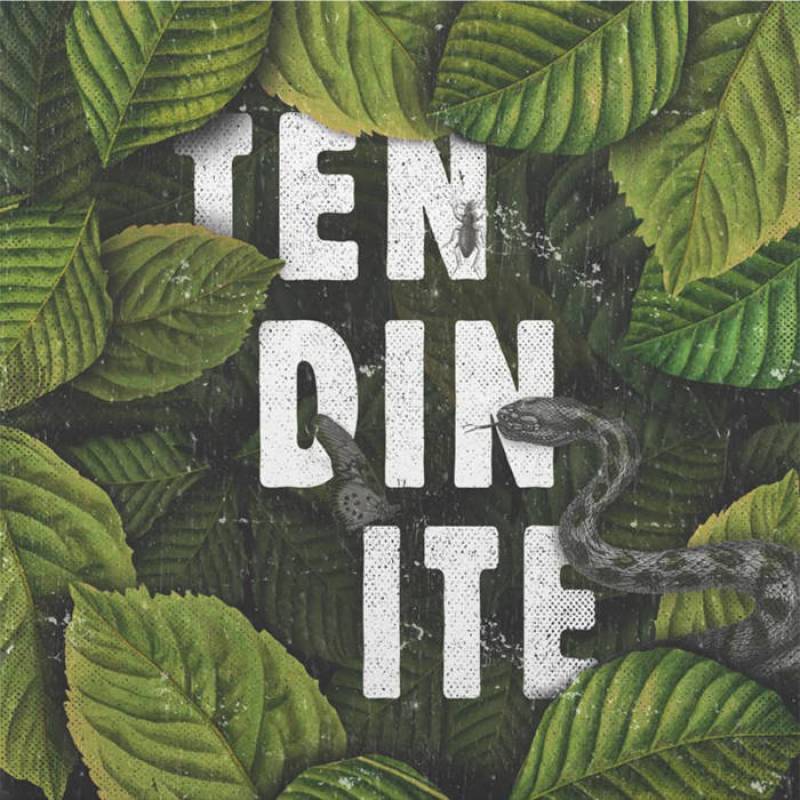 chronique Tendinite - S/T