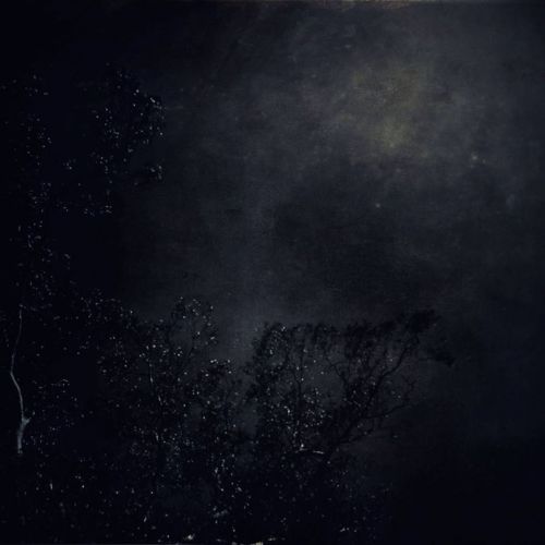 chronique Terra - Untitled