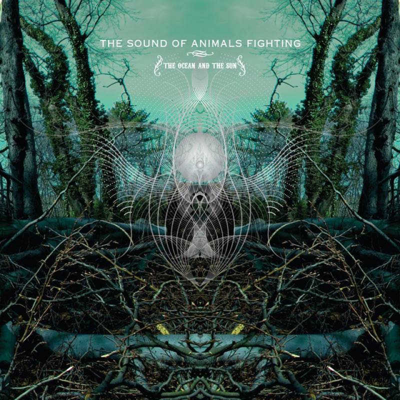 chronique The Sound Of Animals Fighting - The Ocean and the Sun