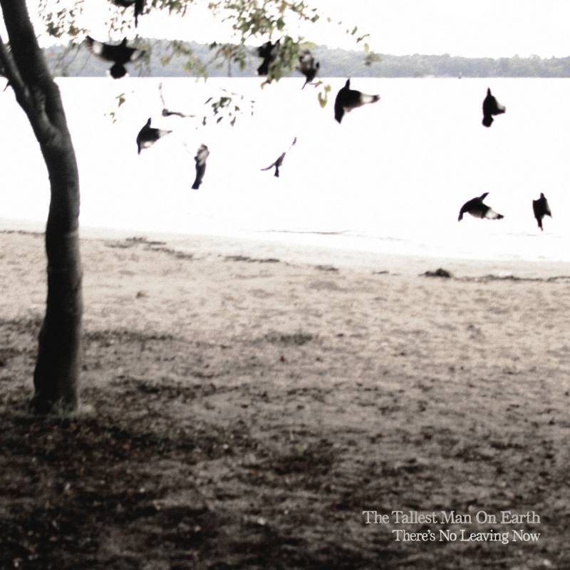 chronique : The Tallest Man On Earth - There's No Leaving Now chronique The Tallest Man On Earth - There's No Leaving Now