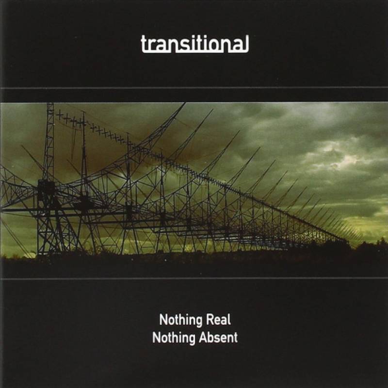 chronique : Transitional - Nothing Real, Nothing Absent chronique Transitional - Nothing Real, Nothing Absent