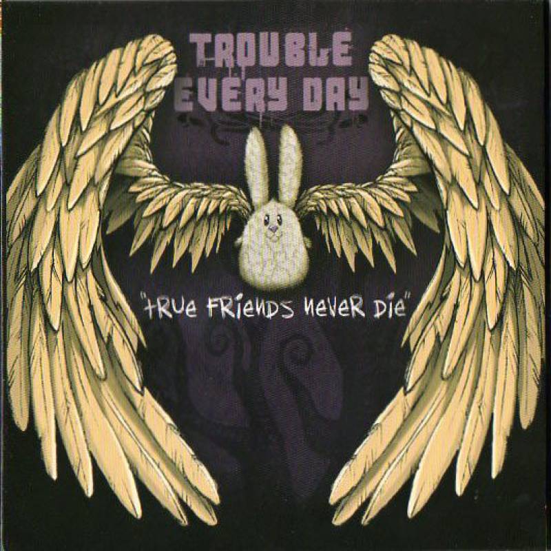 chronique : Trouble Every Day - True Friends Never Die chronique Trouble Every Day - True Friends Never Die