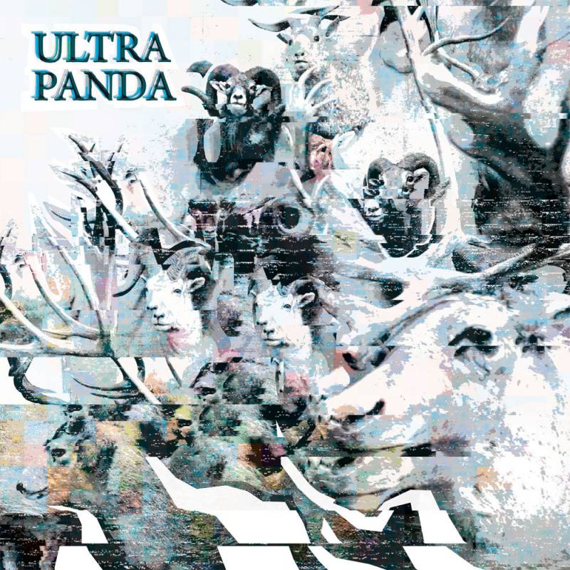 chronique Ultra Panda - s/t